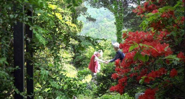 영화 '기이한 생각의 바다에서' 스틸컷. 부산국제영화제 제공