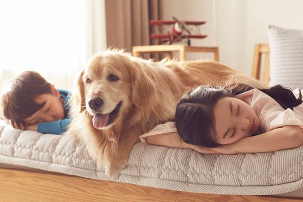 반려견과 함께 자란 아이가 그렇지 않은 아이보다 천식 발병 위험이 낮다는 연구 결과가 나왔다.​/사진=클립아트코리아