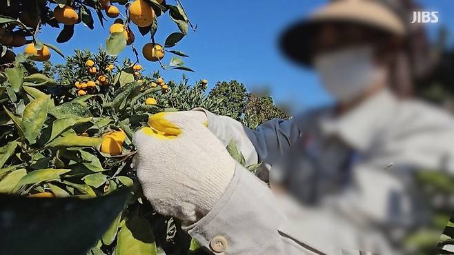 사진은 이해를 돕기 위한 자료 화면이며 기사 내용과 직접 관련이 없음.