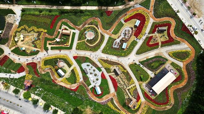 강원 인제군 용대 관광지 일원에 조성된 대규모 꽃밭 전경. 이곳에서는 매년 가을 꽃축제가 열린다. 인제군 제공