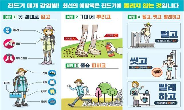 진드기 매개 감염병 예방 홍보 리플릿.[대구시 제공]