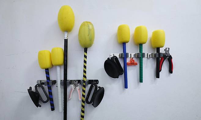 바다사자 수조에 아쿠아리스트들이 사용하는 도구들이 벽에 걸려 있다.