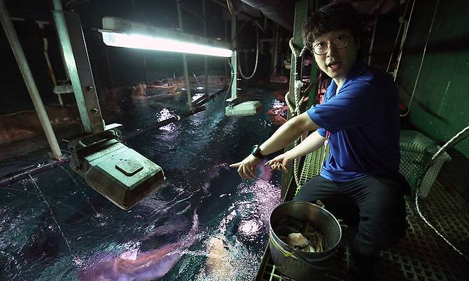 허범석 아쿠아리스트가 열대우림터널 수조 위에서 먹이를 주며 피라루크 생태 습성에 대해 설명하고 있다.