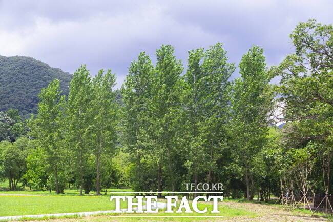 연천 재인폭폭 전경. /경기관광공사