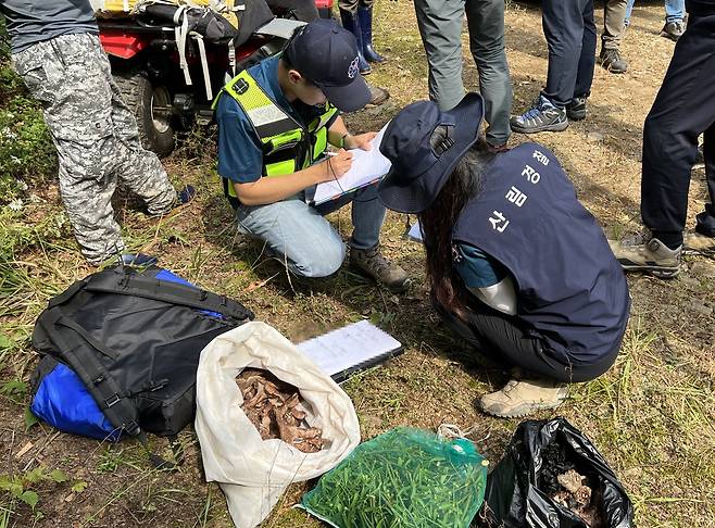 A special forest police officer cracks down on the illegal harvesting of forest products. [KOREA FOREST SERVICE]