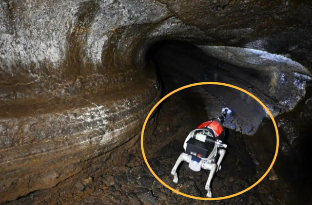 베이징대 연구팀이 달 지하 지형 탐사용 로봇 개 시제품을 헤이룽장성의 한 용암동굴에서 테스트하는 모습. 인민일보 캡처 연합뉴스