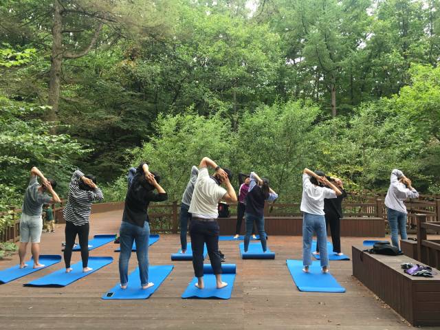 숲을 찾은 방문객들이 산림치유프로그램을 체험하고 있다. 사진제공=산림청