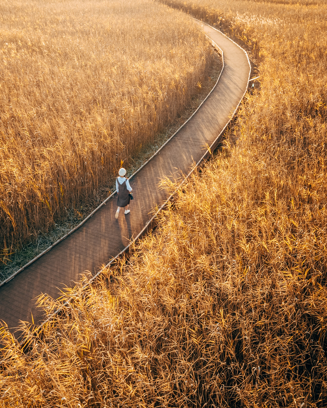 줄포만 노을빛 정원