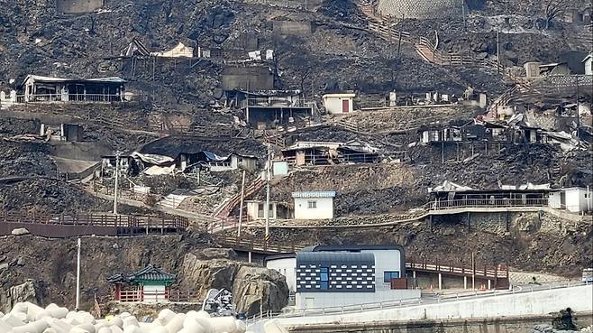 지난 3월 29일 경북 영덕군 영덕읍 석리마을 일대가 산불 피해로 인해 새까맣게 그을려 있다. 노물리 해안 마을은 지난 22일 의성군에서 시작된 산불이 강풍을 타고 확산되면서 피해가 발생했다. /뉴스1