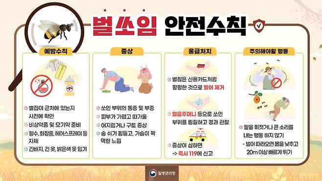벌 쏘임 사고 안전수칙. (사진=뉴시스 DB) *재판매 및 DB 금지