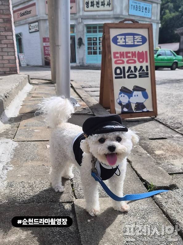 ▲교복 입은 강아지ⓒ순천시