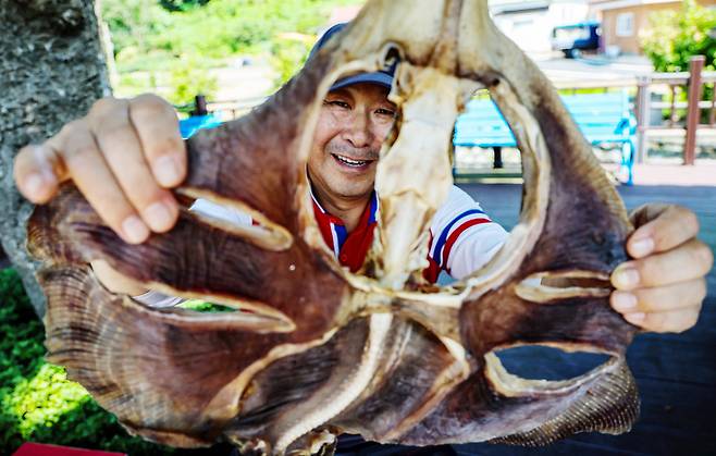 ▲ 김형진 대청도 특성화사업추진위원장 겸 모래울 마을 협동조합 이사장이 말린 홍어를 들고 있는 모습. /인천일보