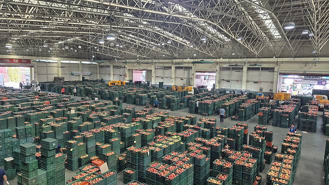 안동 농산물도매시장 경매장 내부 모습./경북도 제공