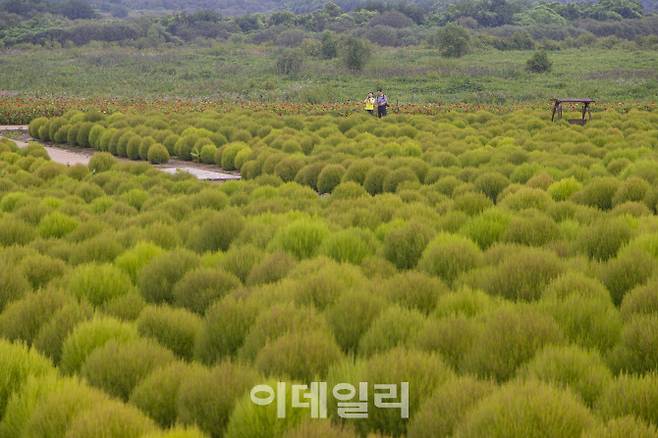 연천 임진강댑싸리정원.(사진=경기관광공사)