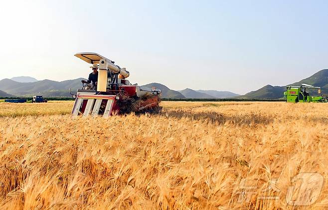 (평양 노동신문=뉴스1) = 북한 노동당 기관지 노동신문은 20일 "위대한 조선로동당이 펼친 농촌진흥의 새시대에 나라의 농업생산방향이 전환되는 대변혁이 일어나고 지속적이며 안정적인 장성을 담보하는 물질 기술적 토대가 더욱 강화되고 있다＂고 보도했다. [국내에서만 사용가능. 재배포 금지. DB 금지. For Use Only in the Republic of Korea. Redistribution Prohibited] rodongphoto@news1.kr