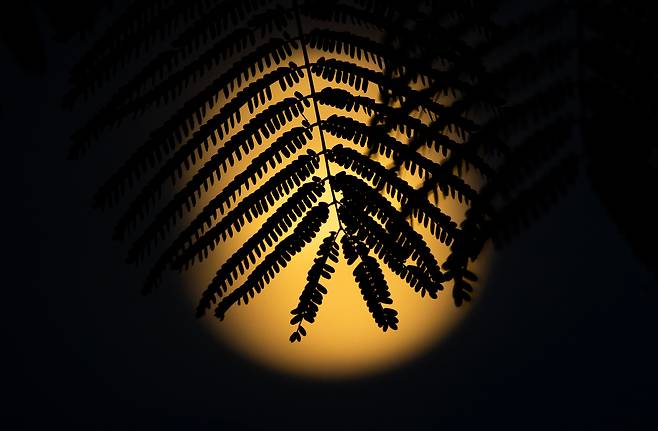 6일 남미 도미니카공화국 산토 도밍고에 뜬 슈퍼문./EPA 연합뉴스