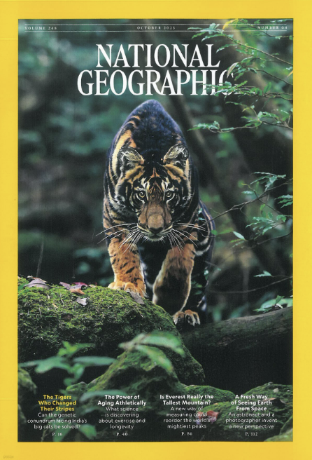 내셔널지오그래픽 10월호 표지 사진. 내셔널지오그래픽 제공