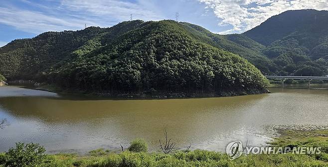 상류까지 물 차오른 강릉 오봉저수지 [연합뉴스 자료사진]