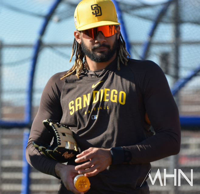 (타티스 주니어)