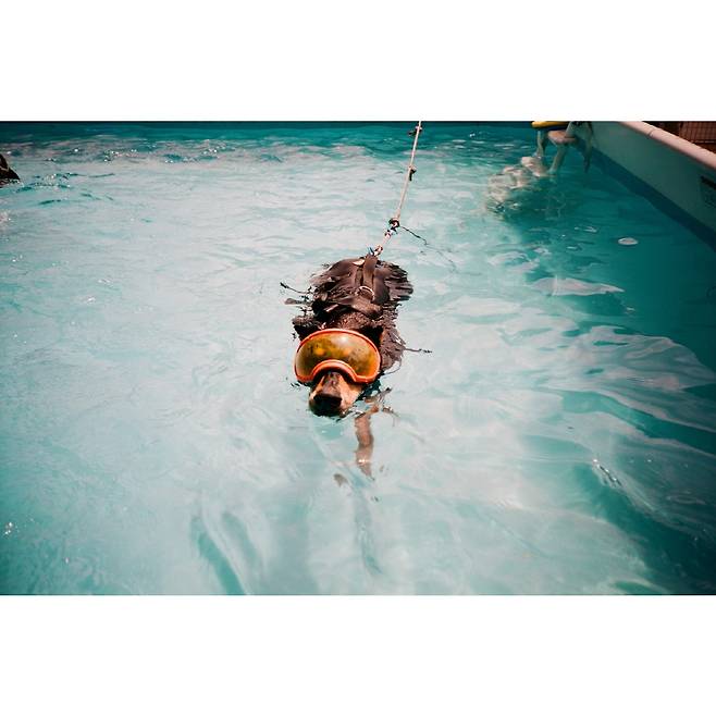 사진 출처=배정남 계정