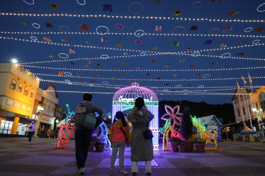 대전 오월드 야간개장. 대전도시공사 제공