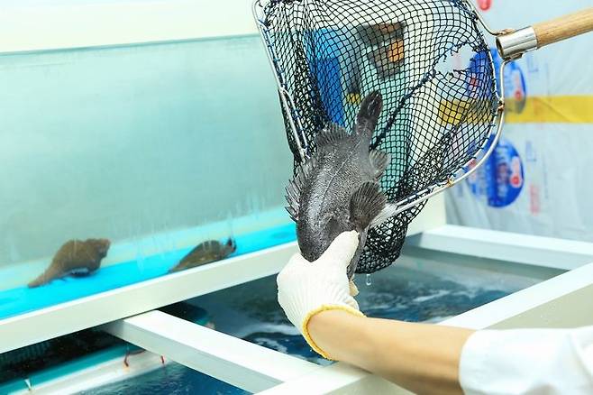 사진은 기사 본문과 무관./사진=게티이미지뱅크