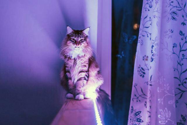 게티이미지뱅크