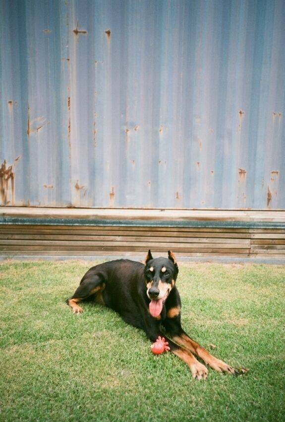 / 배정남 인스타그램