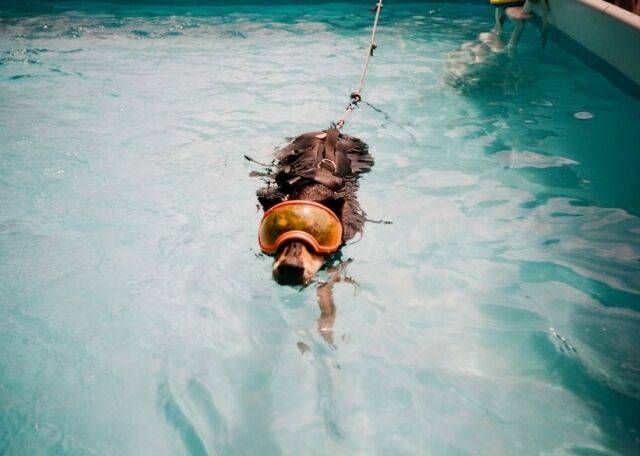 / 배정남 인스타그램