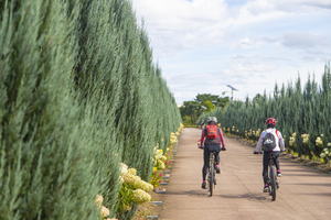 구리 한강시민공원. 사진=경기관광공사