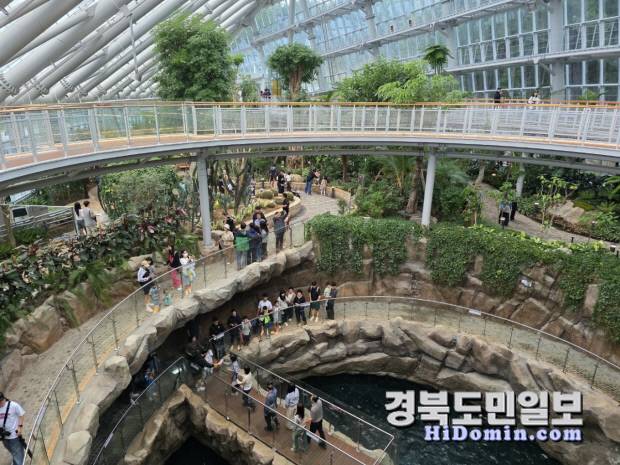 지난 10월 1일 정식 개장한 환호공원 식물원에 추석을 맞아 관광객들이 방문한 모습. 사진=포항시 제공