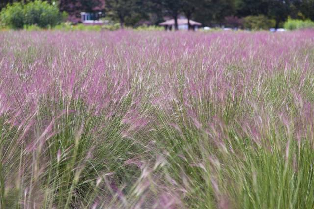 하남 미사경정공원. 경기관광공사 제공