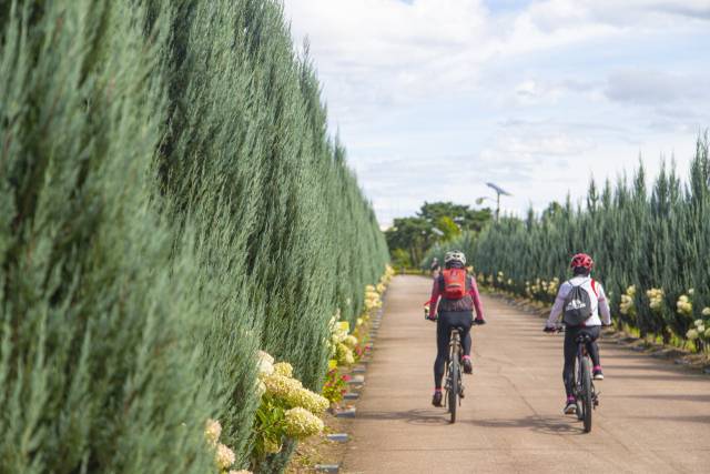 구리 한강시민공원. 경기관광공사 제공