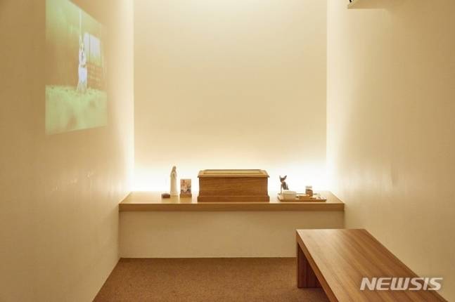 반려동물 장례식장 (사진=뉴시스DB) photo@newsis.com *재판매 및 DB 금지