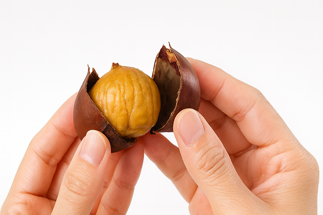 밤 보관법부터 삶는법 효능까지 제대로 알면 1년 내내 즐길 수 있어요