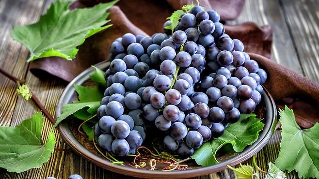 '슈퍼푸드'로도 불리는 포도에는 다양한 건강 상 효능이 있다｜출처: 클립아트코리아