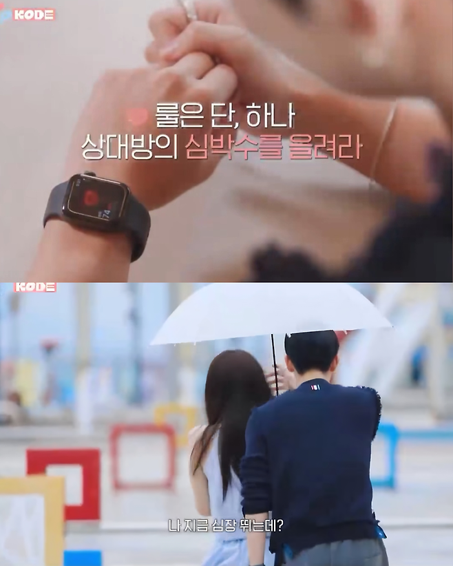 사진 | 유튜브 채널 ‘트립 코드’ 캡처