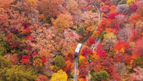 화담숲 단풍(사진 화담숲 제공)