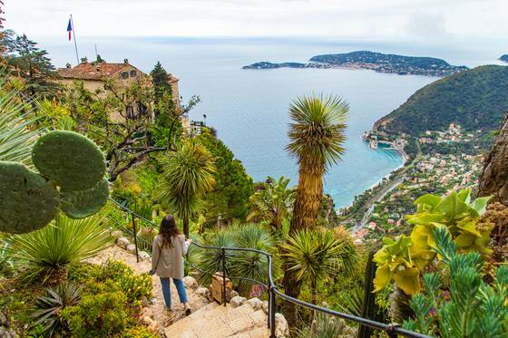 해변 절벽 마을인 ‘에즈’에 자리한 이국 정원. 세계 각지에서 가져온 열대식물이 지중해와 절묘한 조화를 이룬다.