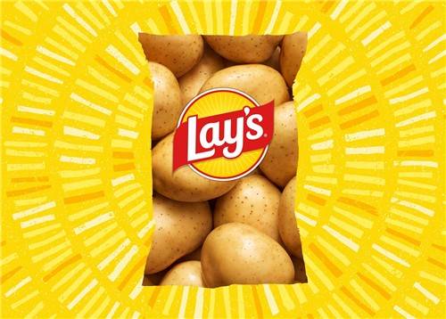 [펩시코 홈페이지(pepsico.com) 화면 캡처. 재판매 및 DB 금지]