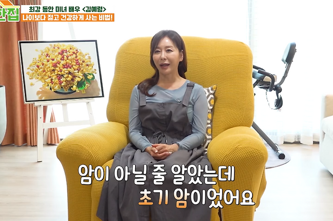 김예령 갑상샘암 투병 건강관리 관련 방송 및 배우 사진 14