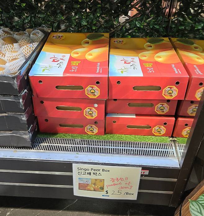 호주 시드니에 거주하는 한인들이 많이 찾는 마트 KMALL09에서 판매되는 신고 배 제품. '한고을배'라는 상표명이 한국산인 것처럼 보이지만, 중국산이다. 제품 가격표에도 중국산임을 알리는 표시가 돼 있다. /윤희훈 기자
