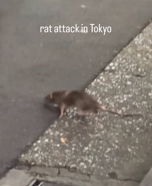 〈사진=인스타그램 캡처〉