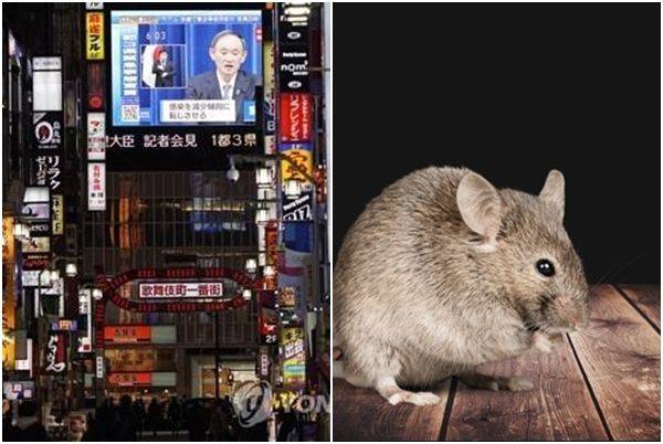 자료사진. 사진=연합뉴스