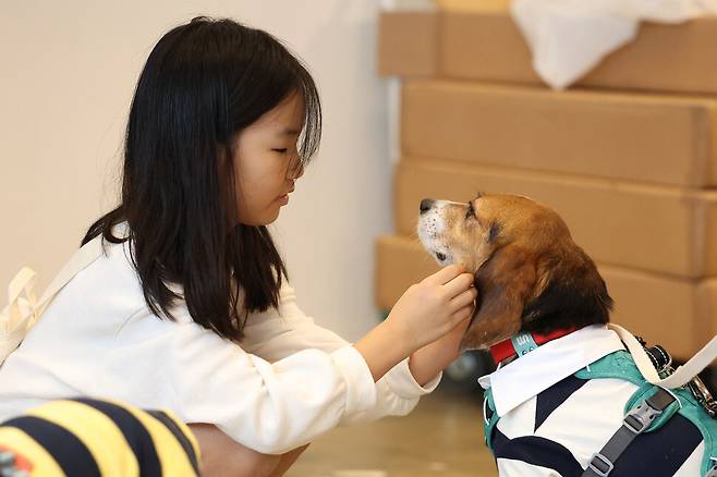 제2회 실험 비글 입양제가 11일 오후 서울 중구의 행사장에서 열려 참석한 홍윤주(10)양이 반려견 십멍이를 쓰다듬고 있다. 홍양의 가족은 지난 6월부터 실험 비글 십멍이를 임시보호하고 지난 9월 정식으로 입양했다. 김영원 기자 forever@hani.co.kr