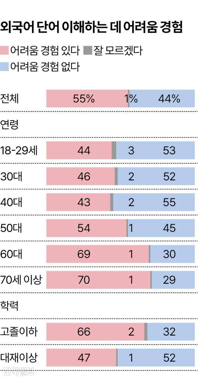 외국어 단어 이해하는 데 어려움 경험 그래픽=송정근 기자