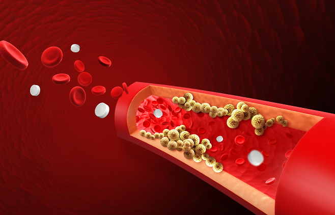 혈액 자료 이미지. 아이클릭아트
