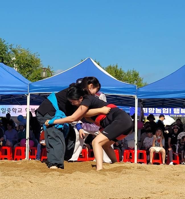 ▲ 고아읍민 씨름대회 단체전에 출전한 여자선수들이 첫번째 승리를 가져오기 위해 온 힘을 다해 경기를 펼치고 있다. 이봉한기자