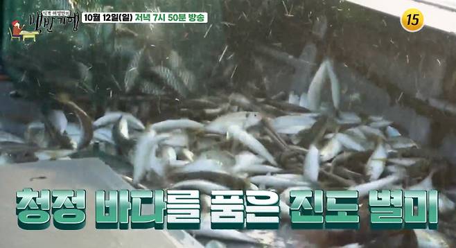 '백반기행' 진도 밥상, 팬 사랑도 진(眞), 팬클럽 '어게인' 향한 남다른 애정