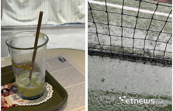 아이폰 에어 모델로 찍은 커피잔(왼쪽)과 비오는 날 잔디. 모두 2배 줌을 한 상태로 촬영됐다.